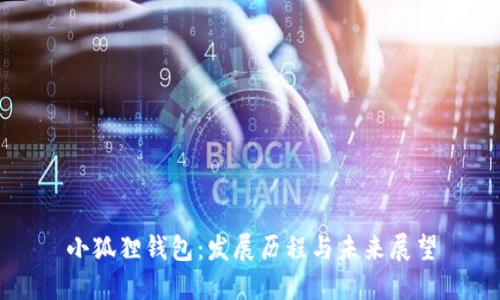 小狐狸钱包：发展历程与未来展望