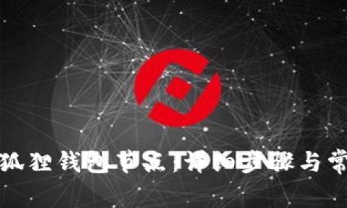 如何设置小狐狸钱包节点：详细步骤与常见问题解答