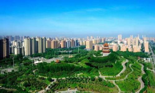 

如何找回小狐狸钱包登陆密码：详细步骤与常见问题解答