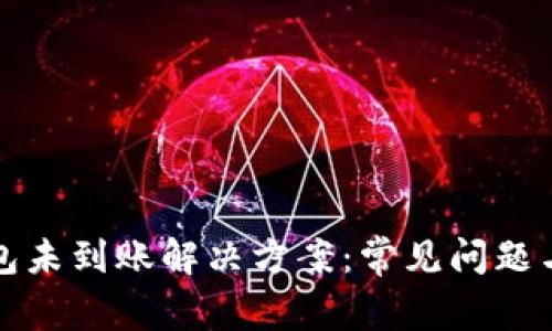 小狐狸钱包未到账解决方案：常见问题与处理技巧